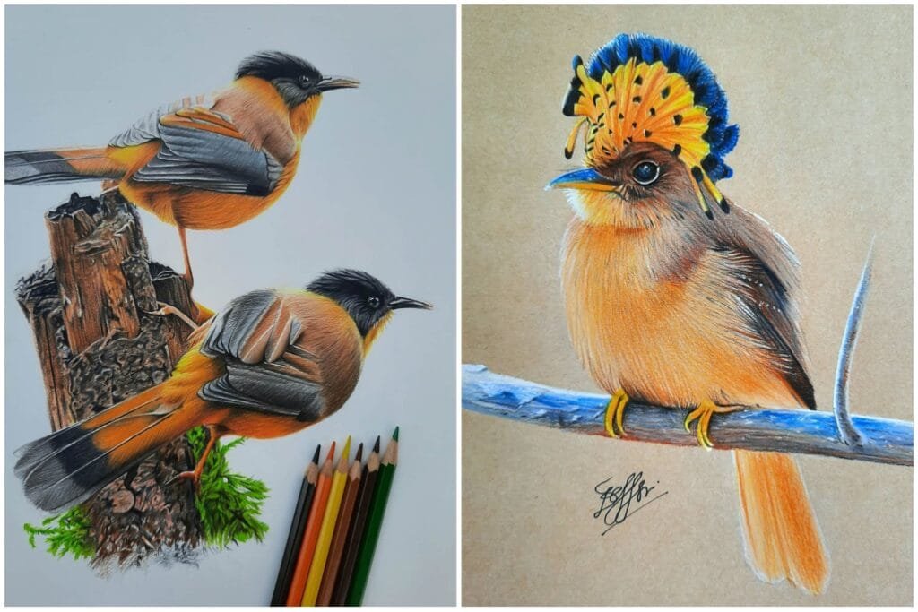 Bird Arts