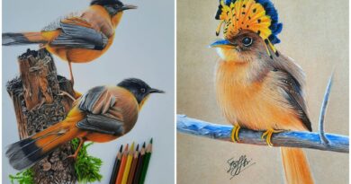 Bird Arts