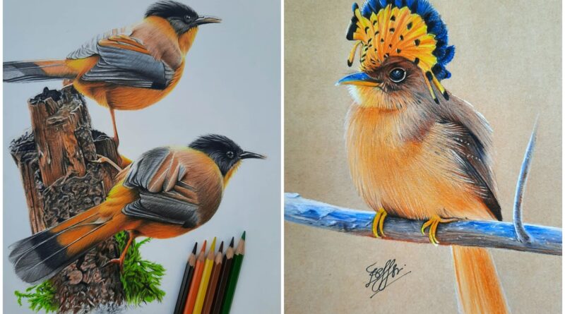 Bird Arts