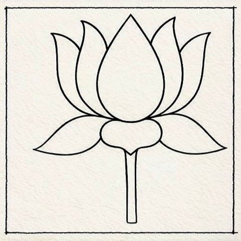 Lotus Drawing