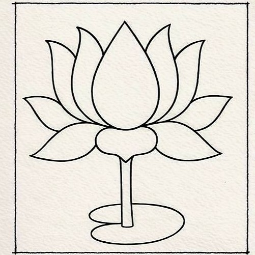 Lotus Drawing
