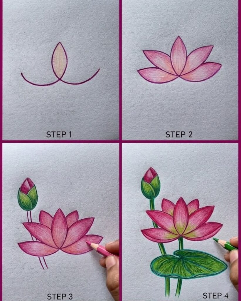 Lotus Drawing step by step