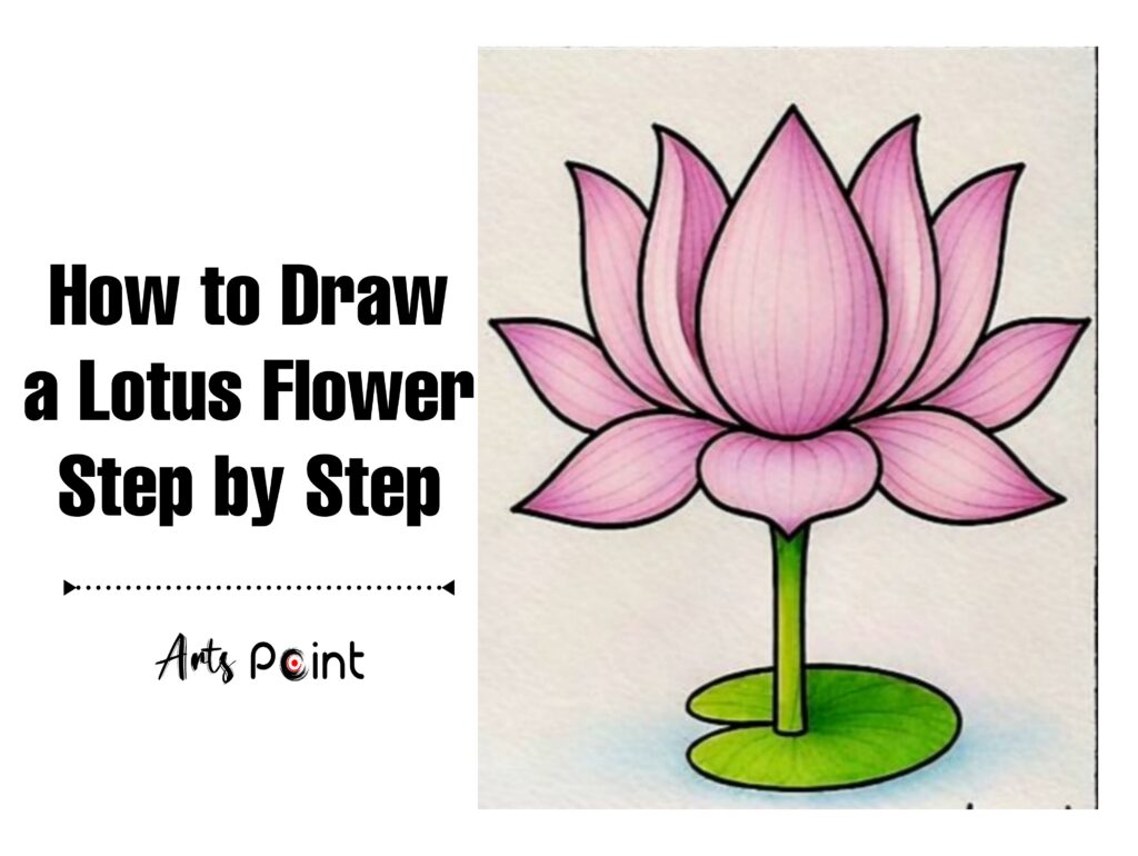 How to Draw a Lotus