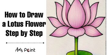 How to Draw a Lotus