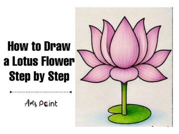 How to Draw a Lotus