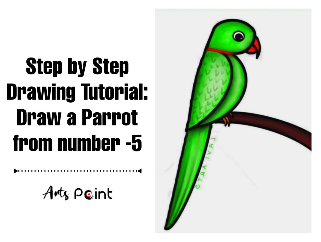 How to Draw a Parrot Step by step