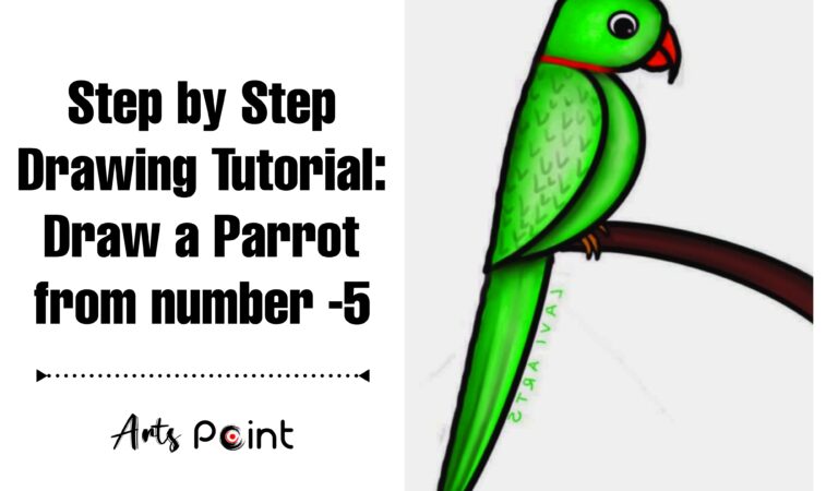 How to Draw a Parrot Step by Step for Beginners | Easy Bird Drawing
