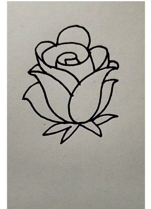 Rose Drawing-1-4