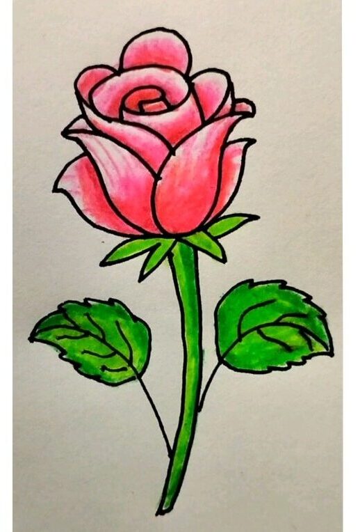 How to draw a rose