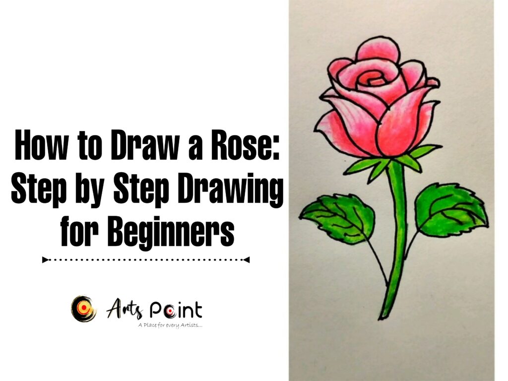 How to Draw a Rose Step by Step Drawing