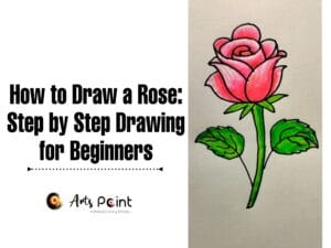 How to Draw a Rose Step by Step Drawing