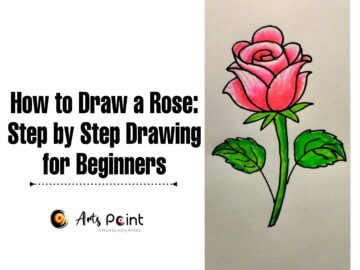 How to Draw a Rose Step by Step Drawing