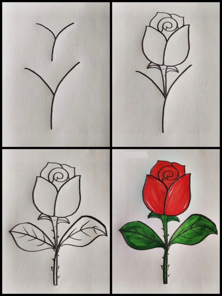 Rose Drawing