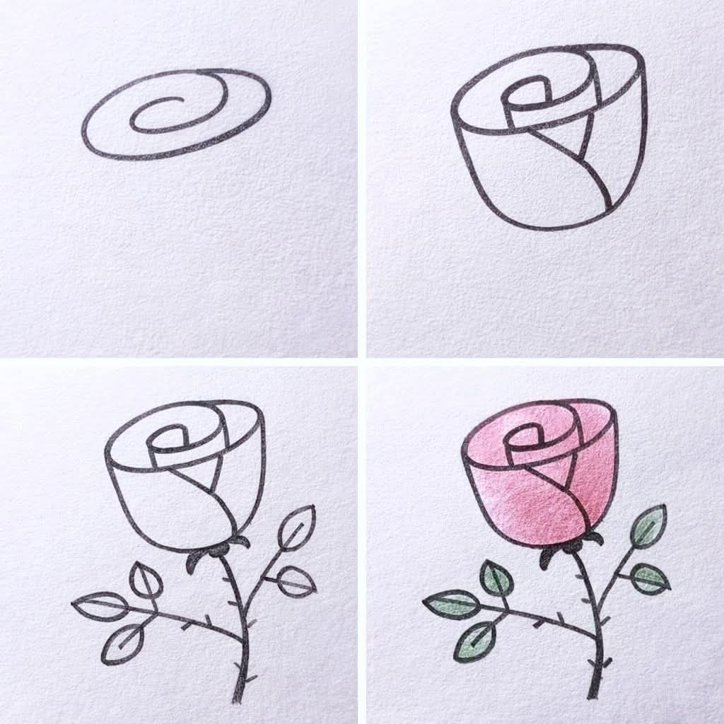 Rose Drawing