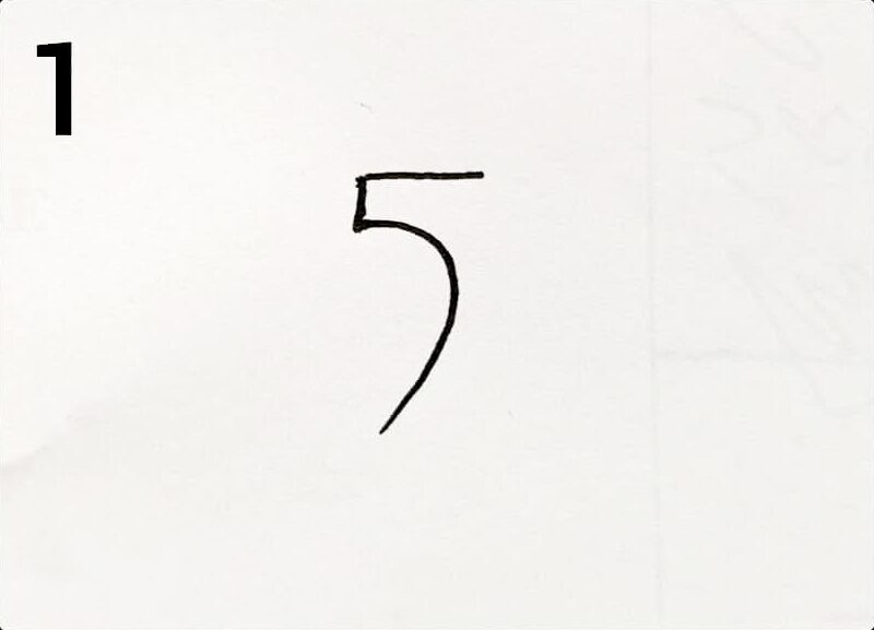 Easy parrot drawing step by step for beginners