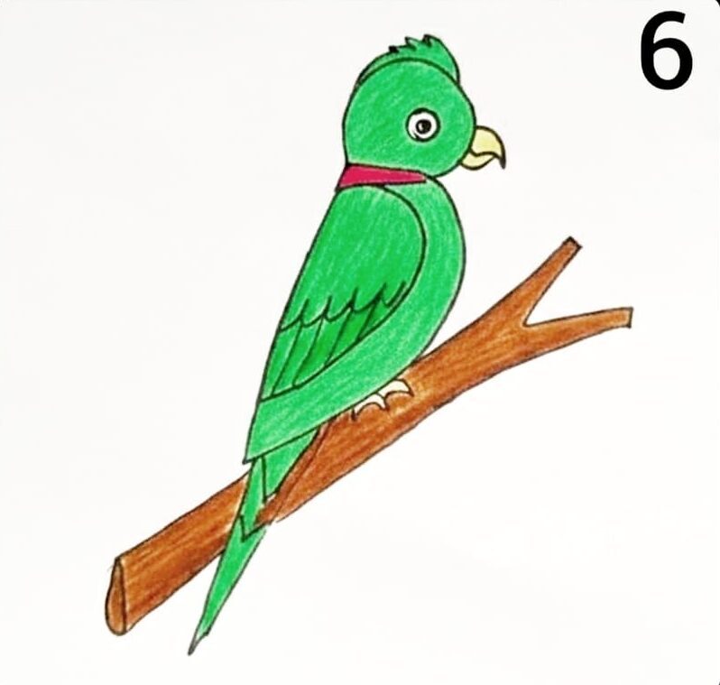 How to draw a Parrot