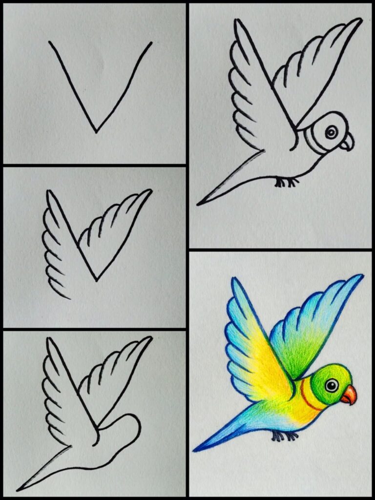 Easy parrot drawing step by step
