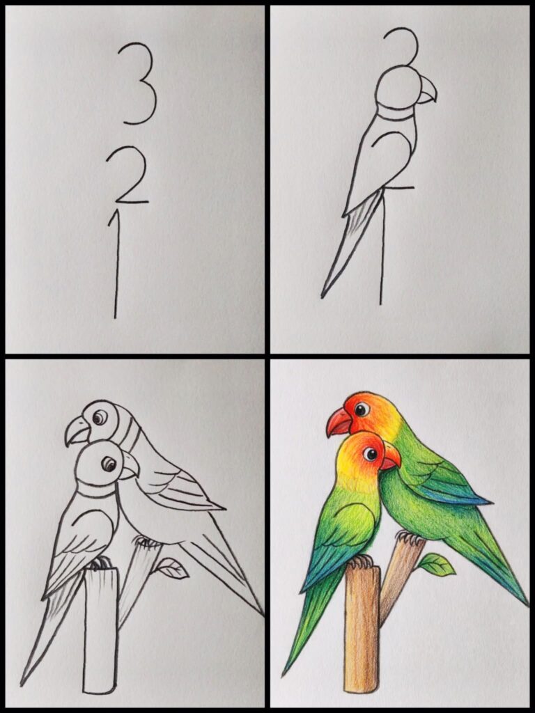 Easy parrot drawing step by step