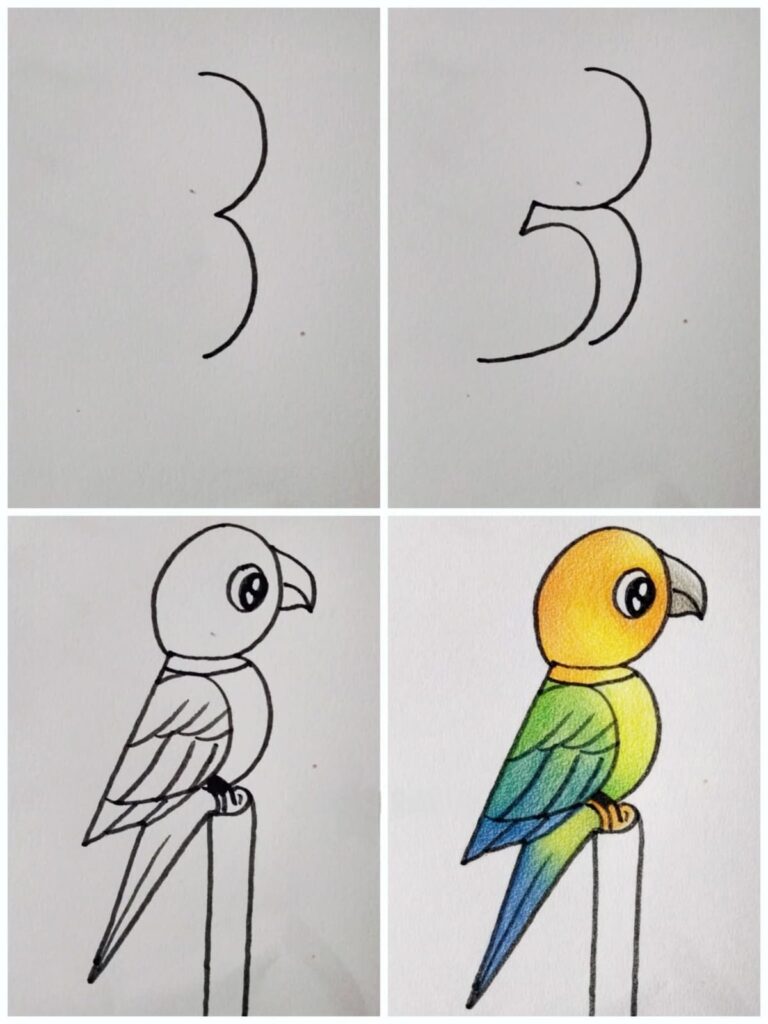 Easy parrot drawing step by step for beginners