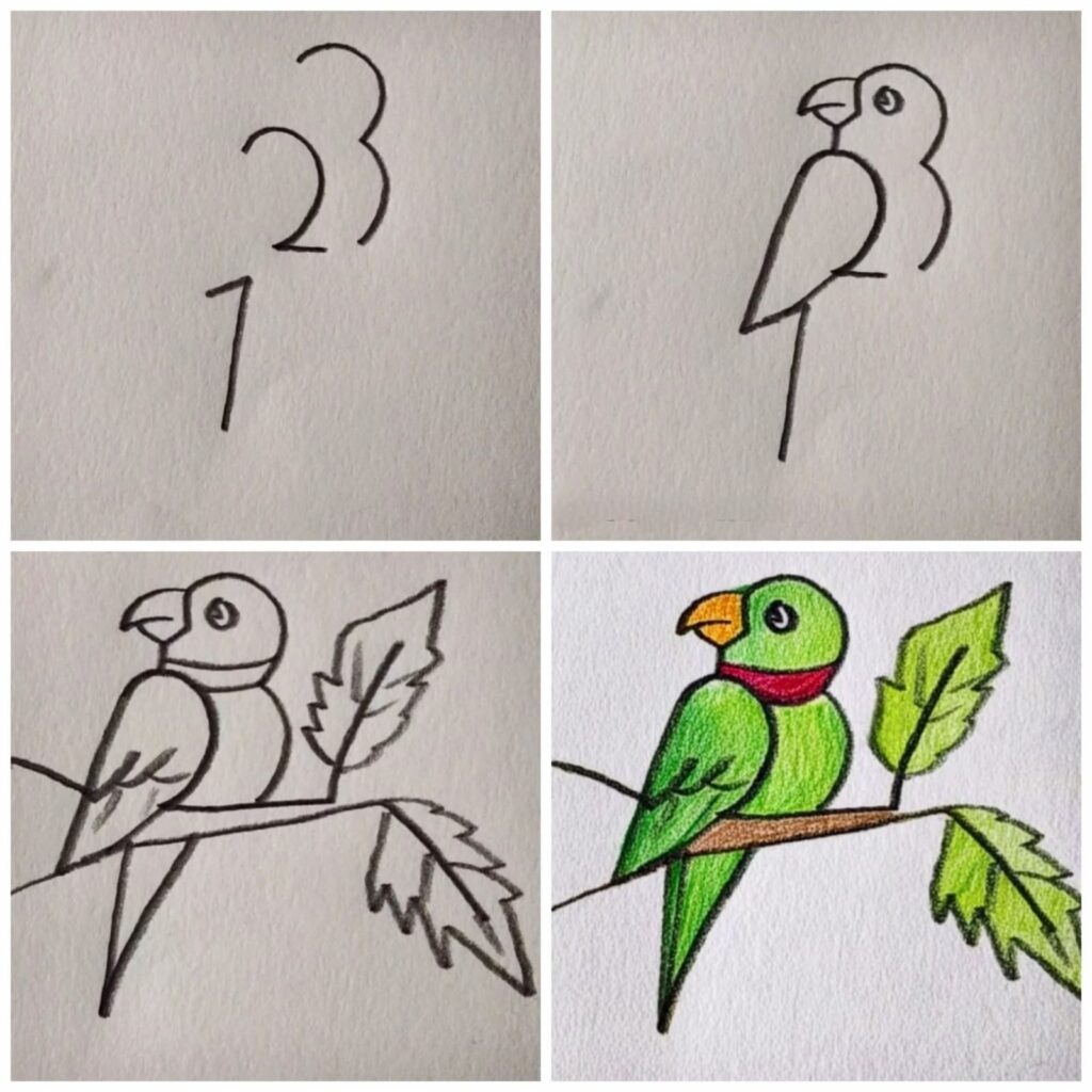 Easy parrot drawing step by step for beginners