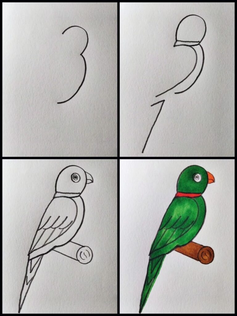 Parrot Drawing Step by Step