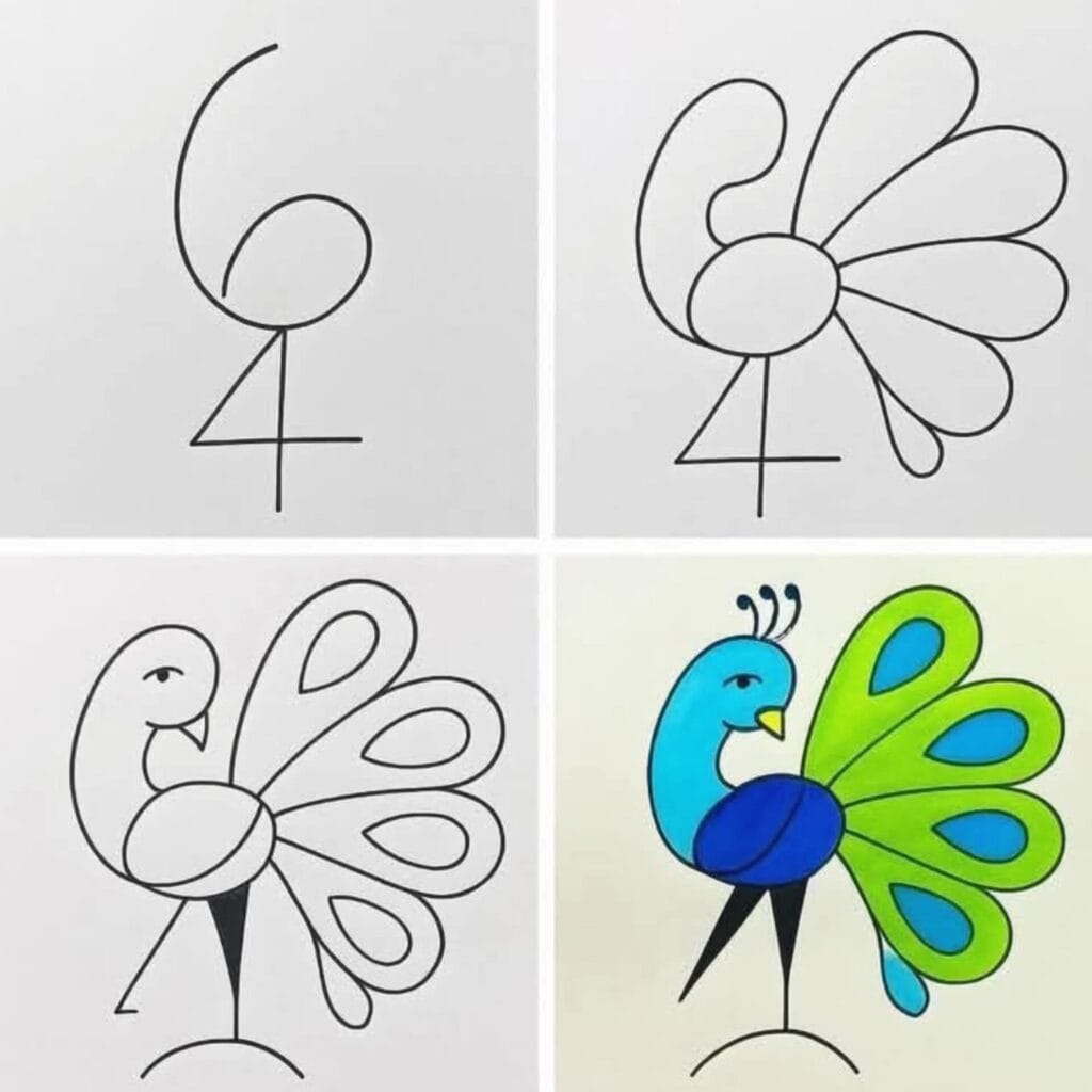 Easy Peacock Drawing Step by Step