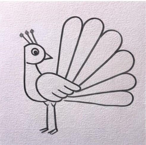 Easy peacock drawing step by step