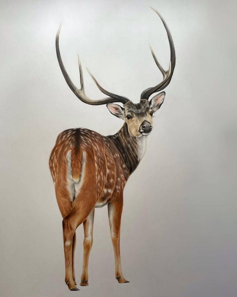 Realistic animal art