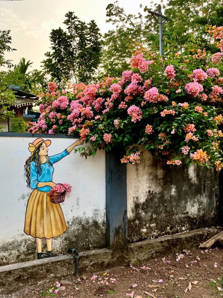 Creative wall paintings by Linesh KRS