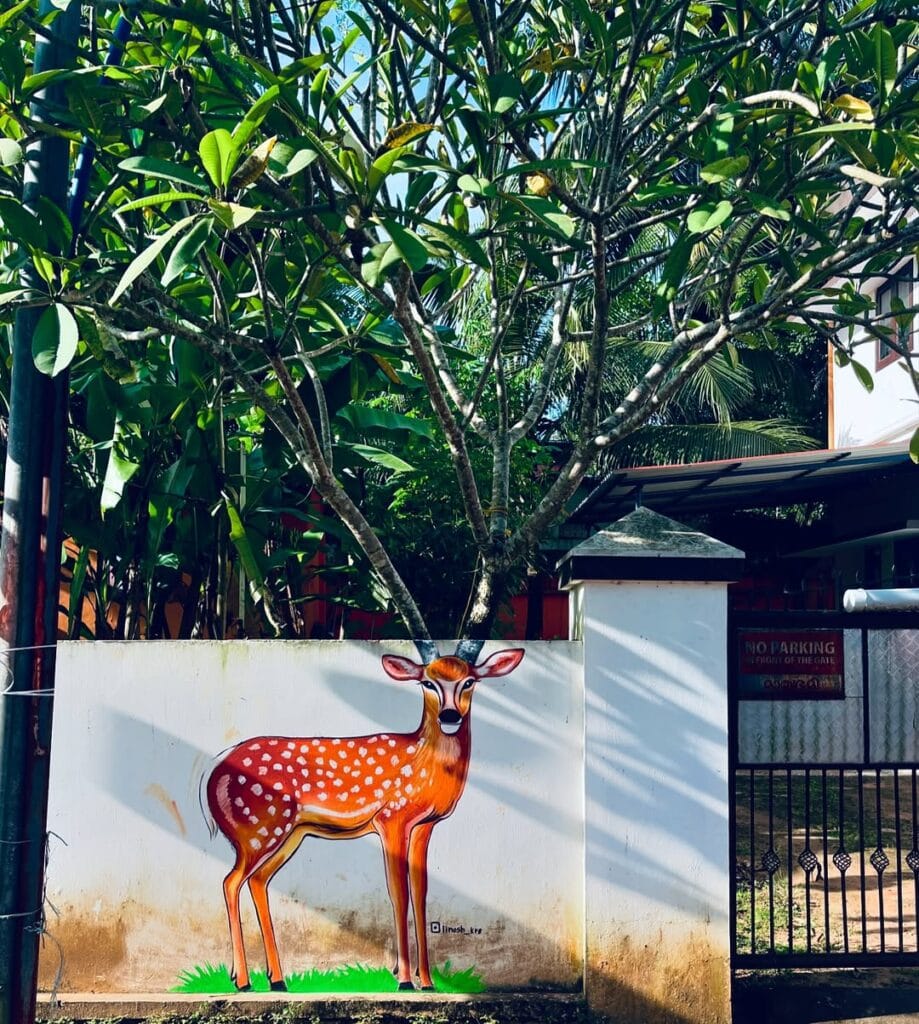 Creative wall paintings by Linesh KRS