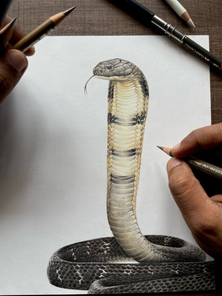Realistic snake drawing