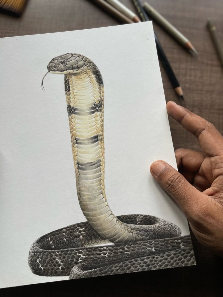 Realistic snake drawing