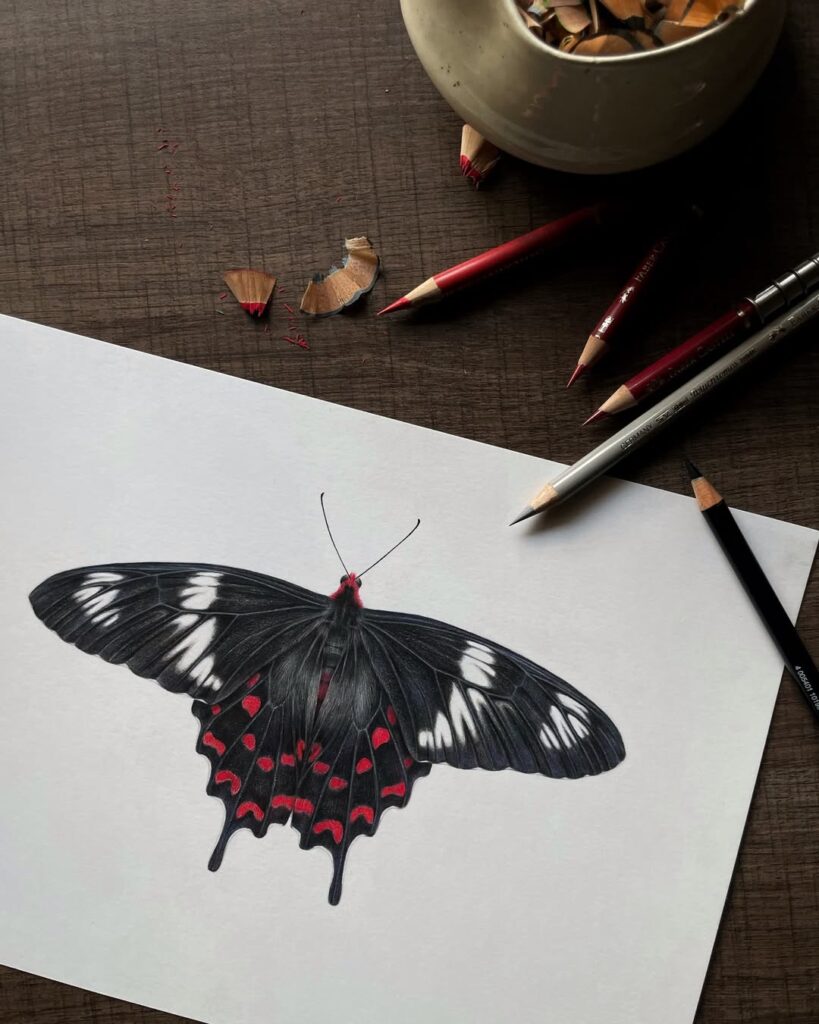 Wildlife color pencil art