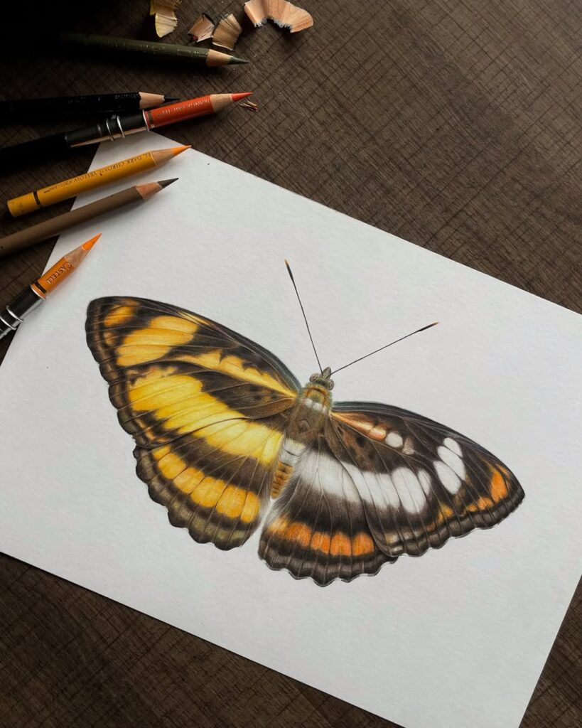 Hyper realistic butterfly artwork