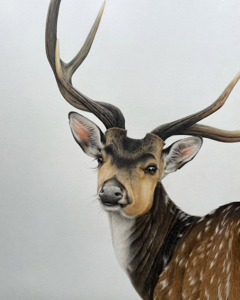 Realistic animal art