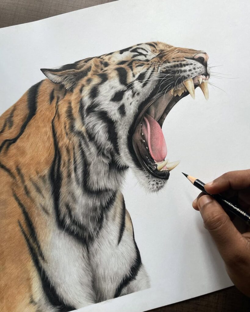 Wildlife color pencil art