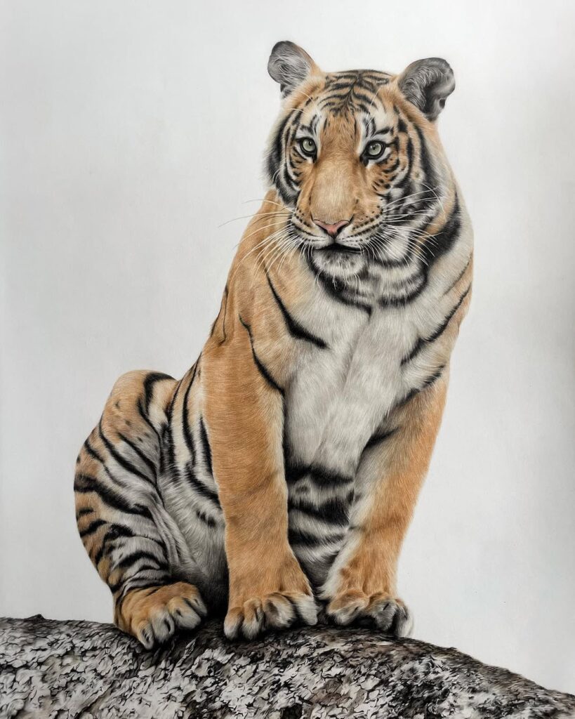Wildlife color pencil art