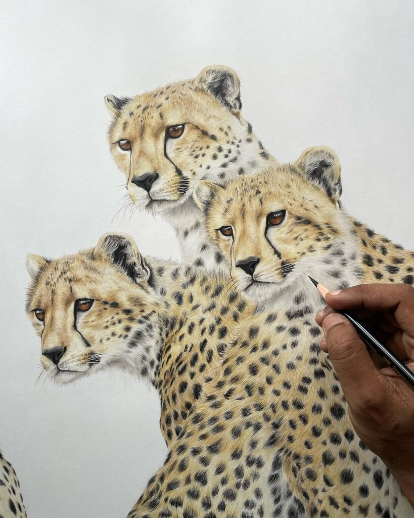 Wildlife color pencil art