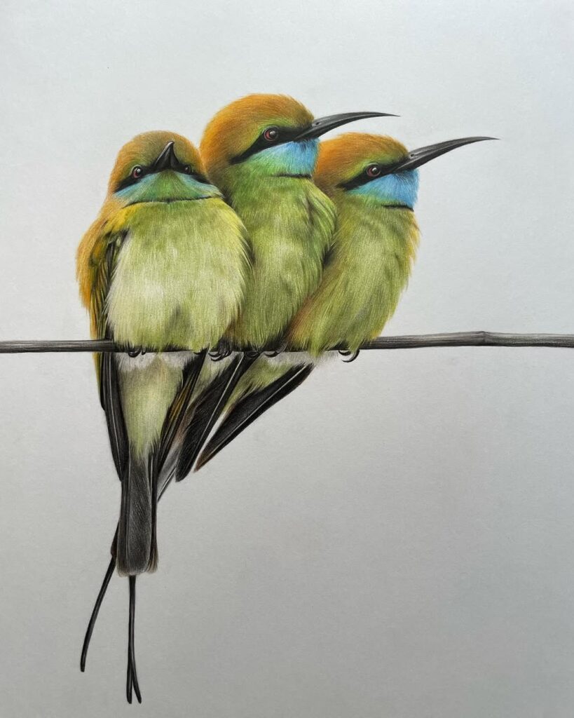 Hyper realistic wildlife drawings