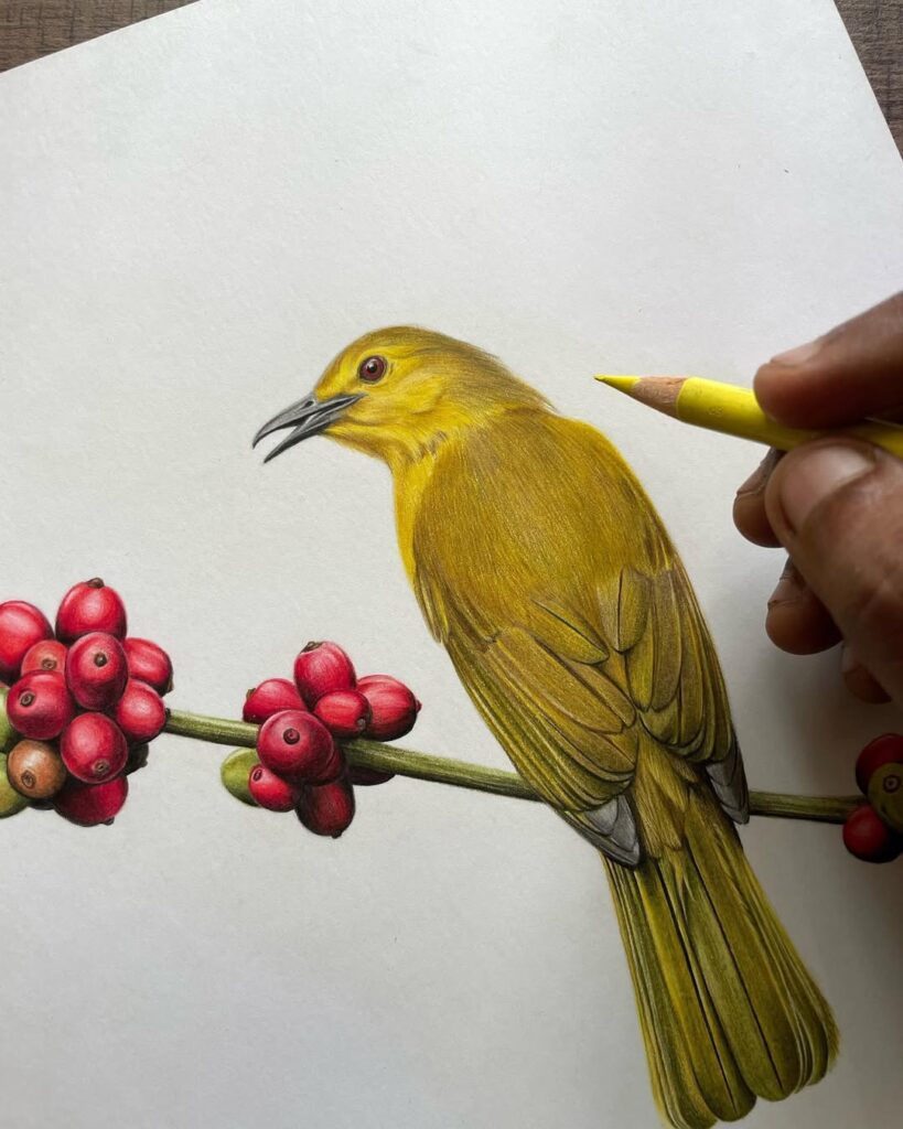 Hyper realistic wildlife drawings
